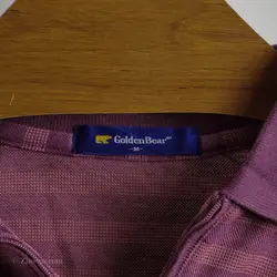 پولوشرت  Golden Bear