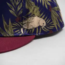 کلاه بیسبالی Splash