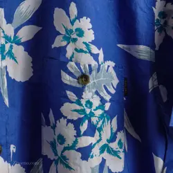 پیراهن هاوایی   RIP Curl