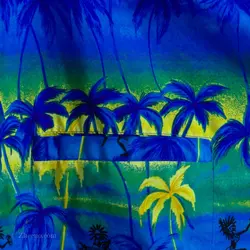 پیراهن هاوایی   Rima