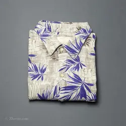 پیراهن هاوایی   Tasso Ella