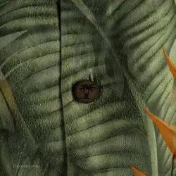 پیراهن هاوایی Jamaica Jaxx