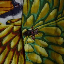 پیراهن هاوایی Bayou Wear