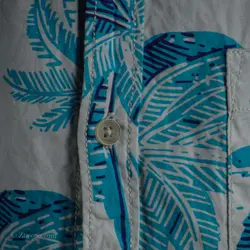 پیراهن هاوایی Rumors