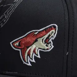 کلاه بیسبالی Adidas Arizona Coyotes