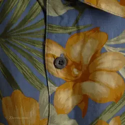 پیراهن هاوایی  Island Passport