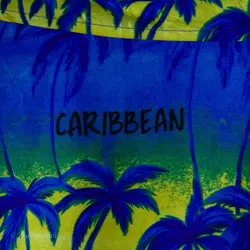 پیراهن هاوایی  Rima