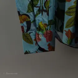 پیراهن طرحدار   Alea