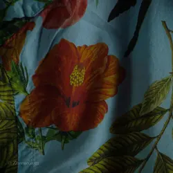 پیراهن طرحدار   Alea