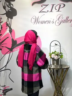 پالتو چهارخانه رنگی‌  ‌(2004)