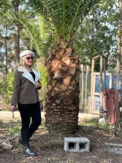 پالتو داخل خز (2477)