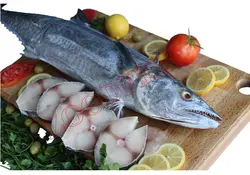 فیله ماهی شیر تازه