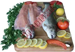 قزل آلا سالمونی تازه درشت شکم خالی