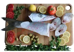 فیله کوتر (شیر نیزه ای) تازه