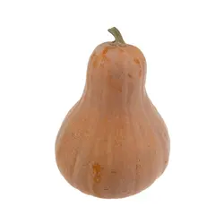 کدو حلوایی 1 کیلوگرم