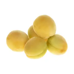 زردآلو درجه یک 1 کیلوگرم