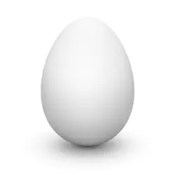 تخم مرغ رسمی دو زرده 15 تایی