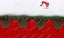 چرخ خیاطی کنگره زن کوچک ایندرلی مدل IDL-17