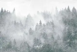 پوستر دیواری نقاشی جنگل کد 1718033