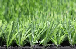 چمن مصنوعی بهاره پاپ 15 میل