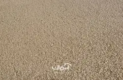 موکت سیزال مدل Secret کد 34