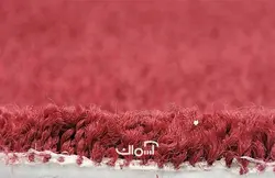 موکت کات ب کد 8811