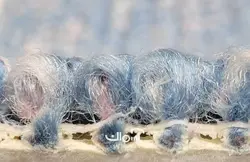 موکت پامچال کد 7271