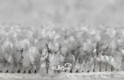 موکت یاس کد 9165