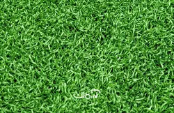 چمن مصنوعی 15 میل بهاره صدف فر