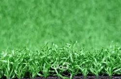 چمن مصنوعی 15 میل بهاره صدف فر