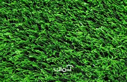 چمن مصنوعی 15 میل بهاره صدف