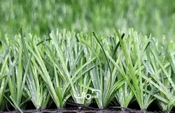 چمن مصنوعی 25 میل بهاره صدف