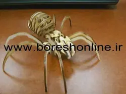 دانلود فایل ماکت عنکبوت