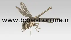 دانلود فایل ماکت سنجاقک