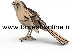 دانلود فایل ماکت گنجشک