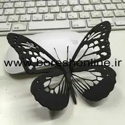 دانلود فایل ماکت پروانه زیبا