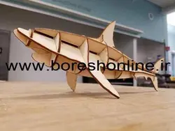 دانلود فایل ماکت کوسه