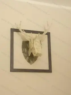 دانلود فایل لیزری ماکت سر گوزن