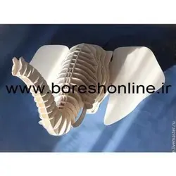 دانلود فایل ماکت سر فیل