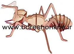 دانلود فایل ماکت مورچه