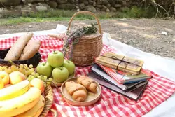 زیرانداز چهارخانه درشت قرمز