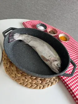 ماهیتابه بیضی کاندید- سایز 33