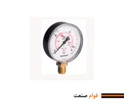 گیج فشار پکنز MG 100
