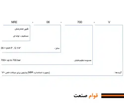 شیر فشار شکن هیدرولیک (رلیف ولو) نیوان - مدل NRE-06 | قطعات هیدرولیک ،آسانسور و بالابر ( پمپ، شیربرقی، هیدروموتور و...) ارسال به سراسر کشور همراه با گارانتی و ضمانت نامه کتبی