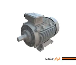 الکتروموتور سه فاز پوسته چدن موتوژن
