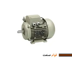 الکترو موتور تک فاز خازن دائم (رله ای) الکتروژن