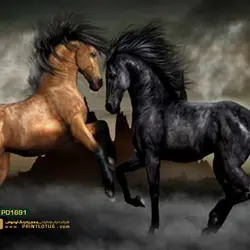 پوستر دیواری طرح اسب-کدPD1691