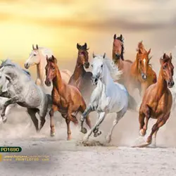 پوستر دیواری طرح اسب وحشی-کدPD1690