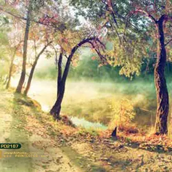 پوستر دیواری طرح منظره و طبیعت-کدPD2187