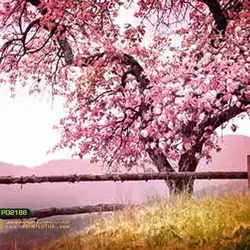 پوستر دیواری طرح منظره و طبیعت-کدPD2186